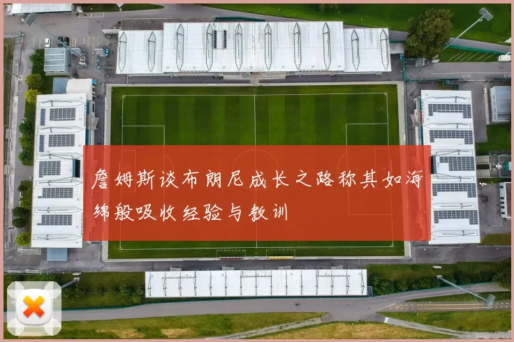 詹姆斯谈布朗尼成长之路称其如海绵般吸收经验与教训